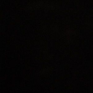 Meet your Posher, Wayne